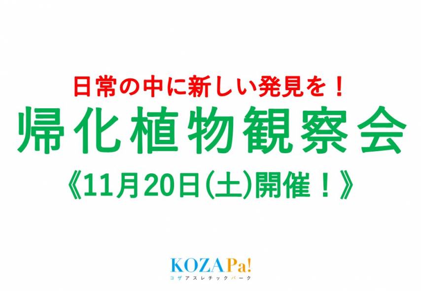 《イベントお知らせ》帰化自然観察会を開催！