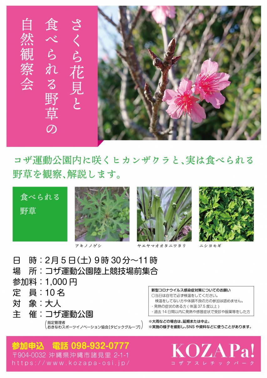 さくら花見と食べられる野草の自然観察会を開催！＜満員御礼！＞