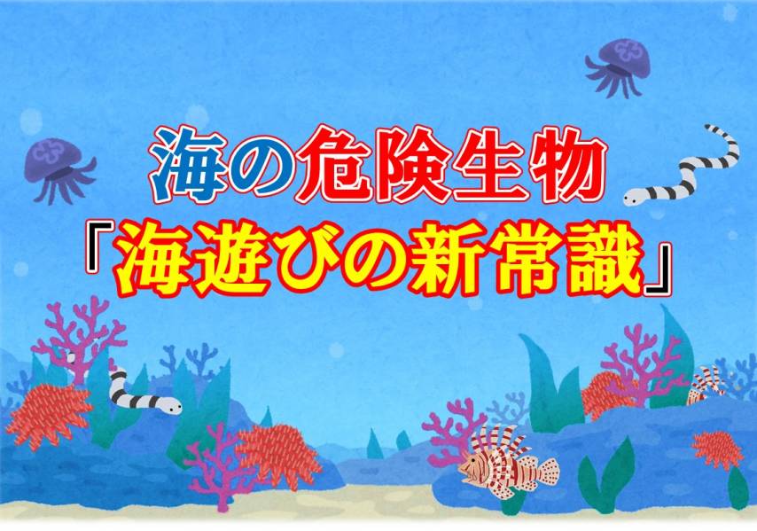 海の危険生物「海遊びの新常識」開催！