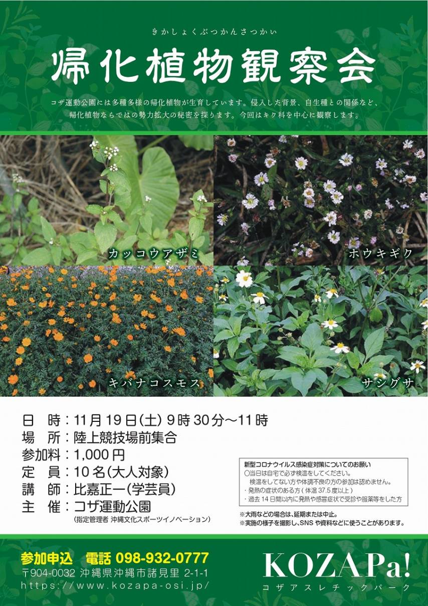 【参加者募集中】11/19(土)帰化植物観察会