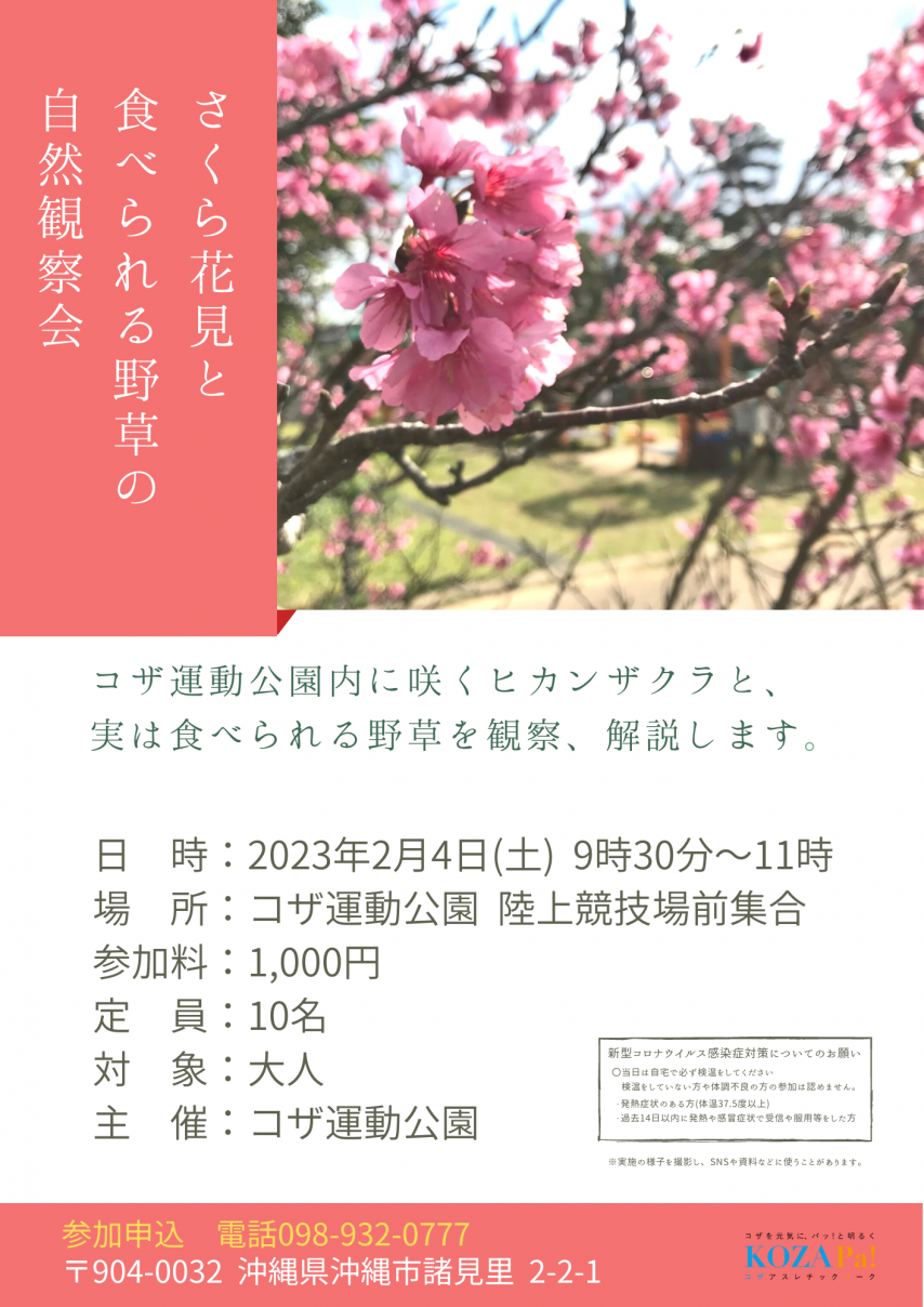 【満員御礼】2023年2月4日(土)サクラ花見と食べられる野草の自然観察会