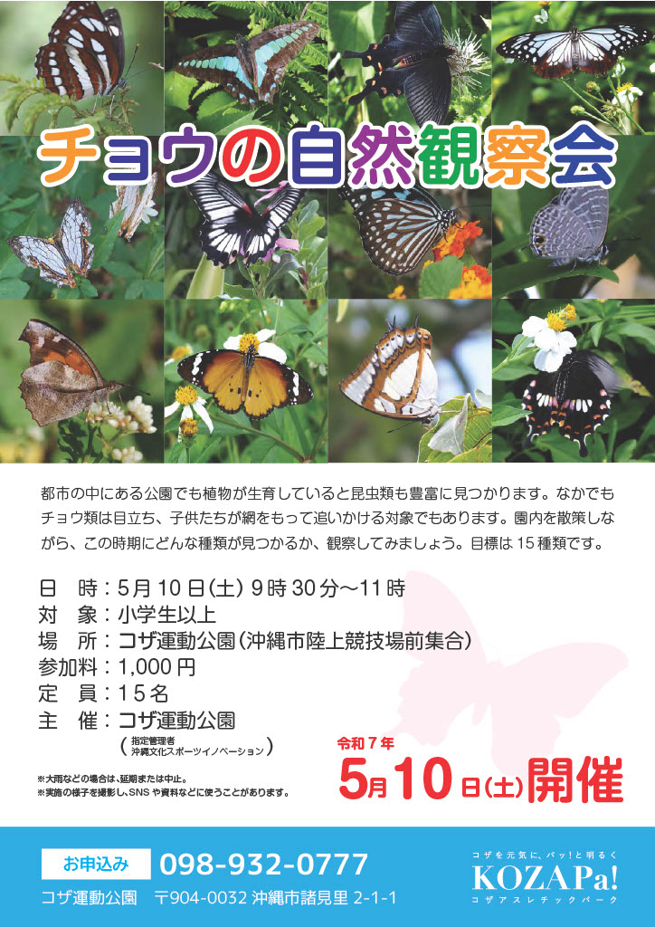 チョウの自然観察会