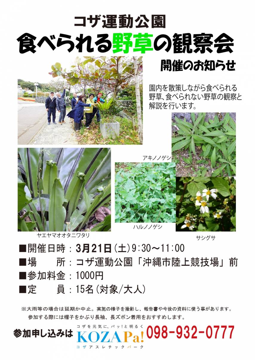 食べられる「野草」の観察会