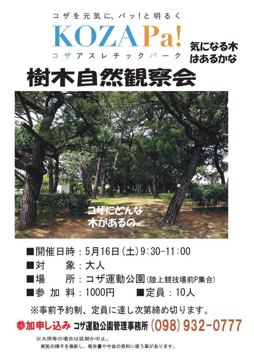 樹木自然観察会